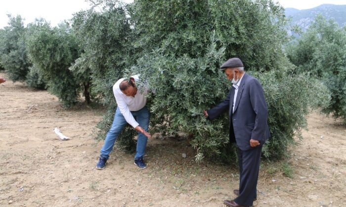 Kozan’da hasar tespit çalışmalarına başlandı