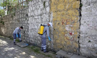 Küçükçekmece Belediyesi yaz aylarında sivrisineklere karşı etkin mücadele başlattı