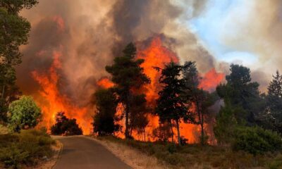 Kudüs’te çıkan yangında 2 bin 650 dönüm arazi kül oldu