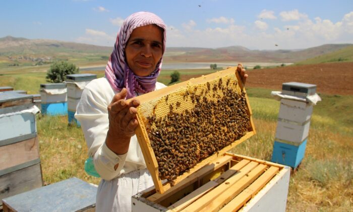 Kuraklık arıcıları endişelendiriyor