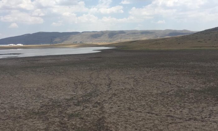 Kuraklık Bingöl’ün içme suyunu yüzde 32 azalttı, başkan tasarruf çağrısında bulundu