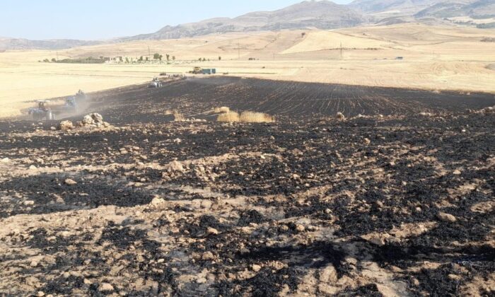 Kurtalan’da 50 dönümlük buğday ekili tarla kül oldu