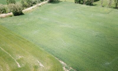 Kütahya 2021 yılında 53 bin 500 dekar alan sulanacak