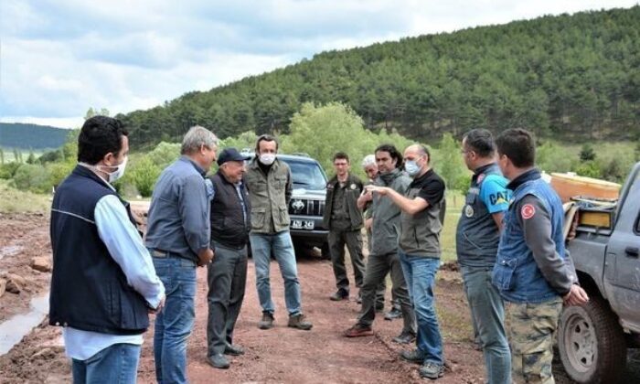 Kütahya’da “Lütfiye Bal Ormanı” için start verildi