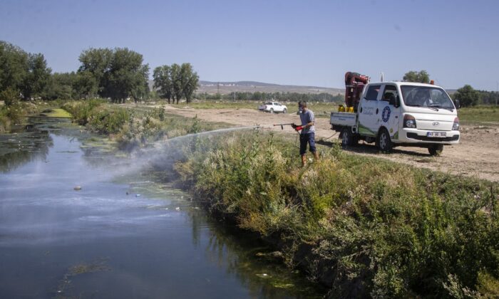 Kütahya’da sinek ve haşereyle mücadele