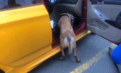 ’Larissa’ uyuşturucuyu böyle buldu