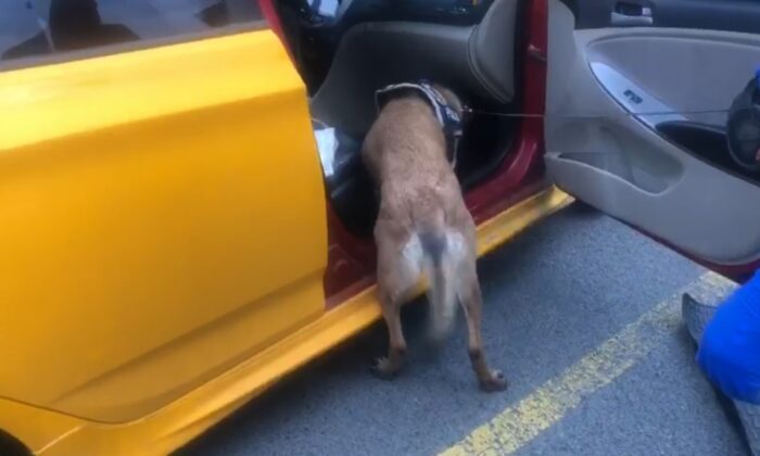 ’Larissa’ uyuşturucuyu böyle buldu