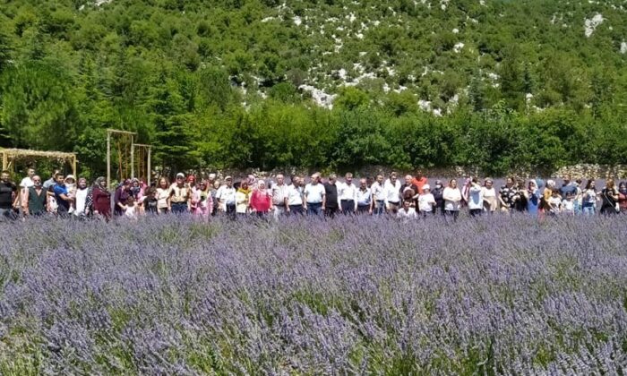 Lavanta bahçelerine ziyaretçi akını