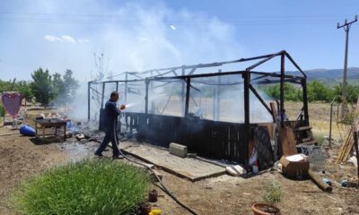 Lavanta bahçesinde çıkan yangın, bahçeyi kullanılamaz hale getirdi
