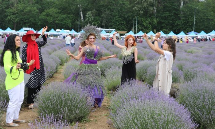 Lavanta Tarla Günlerinde müzik resitali