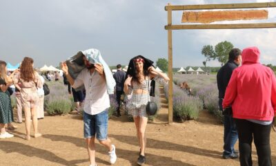 Lavanta tarlasında fotoğraf tutkusu yağmur dinlemedi