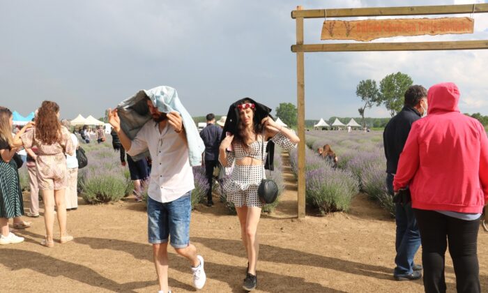 Lavanta tarlasında fotoğraf tutkusu yağmur dinlemedi