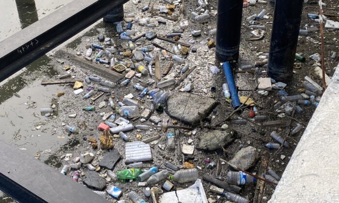 Limana yürüyüşe geldiler, gördükleri manzara karşısında şoke oldular