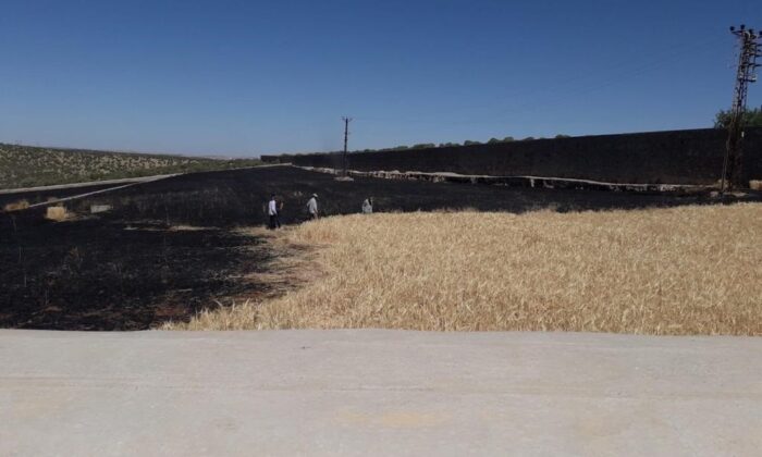 Manastıra ait 19 dönüm arpa yandı