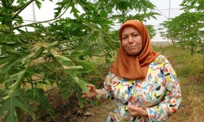 Manavgat Meslek Yüksekokulu kalifiye eleman eksiğini giderecek