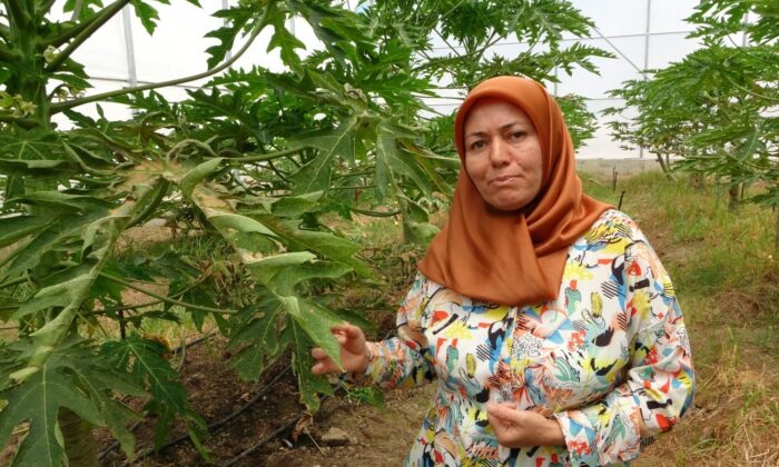 Manavgat Meslek Yüksekokulu kalifiye eleman eksiğini giderecek