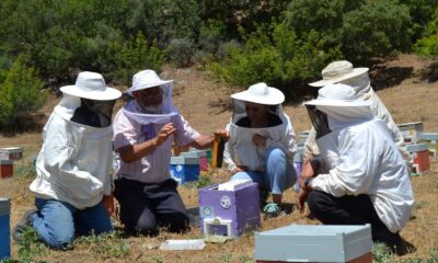 Manisa arıcılığına değer katacak proje