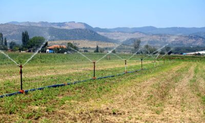 Manisa’da 2021 Sulama Sezonu başladı