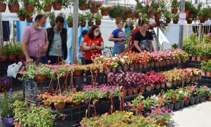 Manisa’da Çiçek Festivali ve Mesir Fuarı açıldı