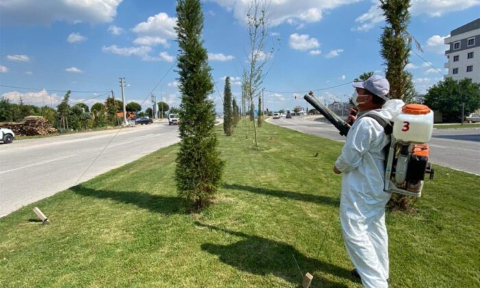 Mantari hastalığı ile mücadelede yüzde 95 başarı