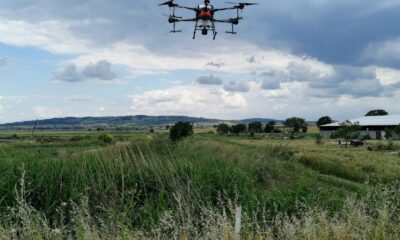 Manyas’ta drone ile sivrisineklere karşı zirai ilaçlama