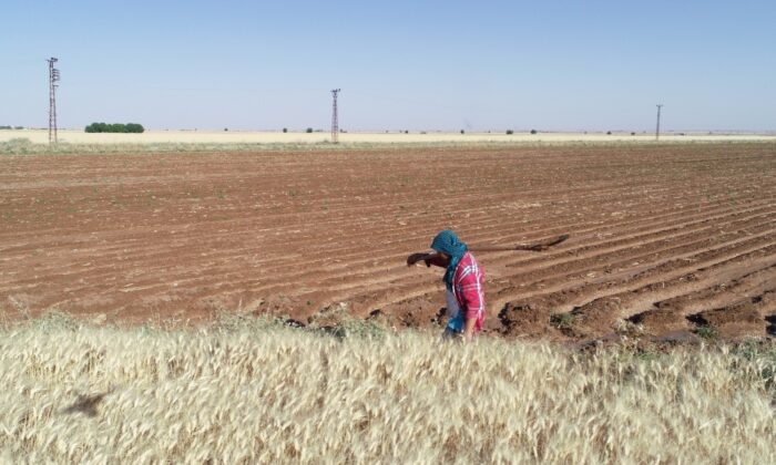 Mardin’de 2021 yılı sulama sezonu başladı