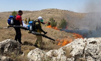 Mardin’de ağaçlık alanda yangın: 12 dönümlük alan kül oldu