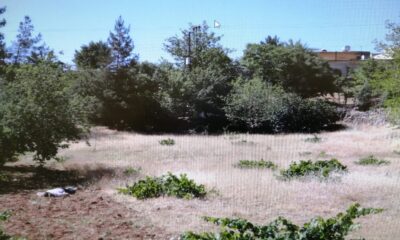 Mardin’de boş arazide erkek cesedi bulundu