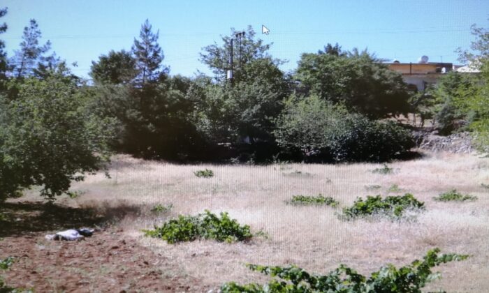 Mardin’de boş arazide erkek cesedi bulundu