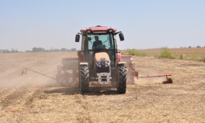 Mardin’de ikinci ürün olan mısır ekimine başlandı