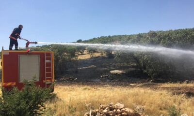 Mardin’de itfaiye ekipleri son 1 ayda 345 yangına müdahale etti