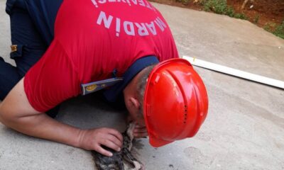 Mardin’de itfaiye eri kalbi duran yavru kediyi suni teneffüsle kurtardı