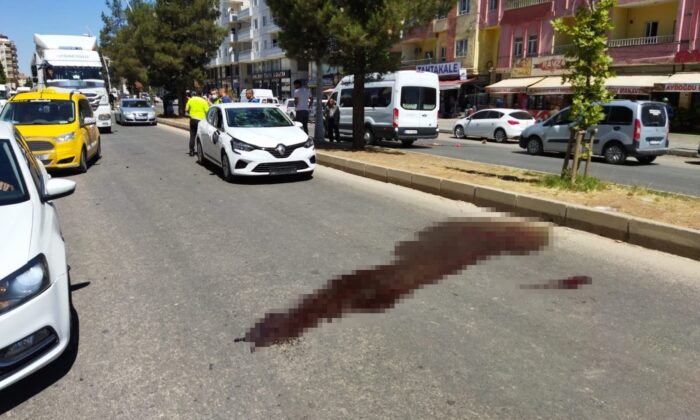 Mardin’de kaza: 3 kız çocuğu yaralandı