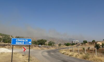 Mardin’de orman yangını
