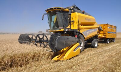 Mardin’de sulu buğdayda verim artışı çiftçiyi sevindirdi