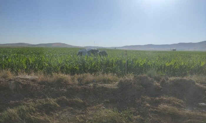 Mardin’de takla atarak mısır tarlasında devrilen araçta 1’i ağır, 4 kişi yaralandı