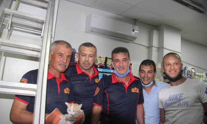 Marketin havalandırma boşluğuna giren kediyi itfaiye kurtardı