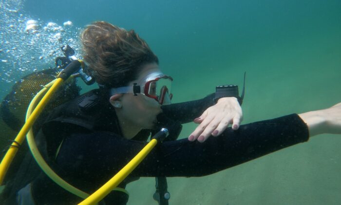 Marmara Denizi salyasıyla kaplandı, rotalar Karadeniz’e çevrildi