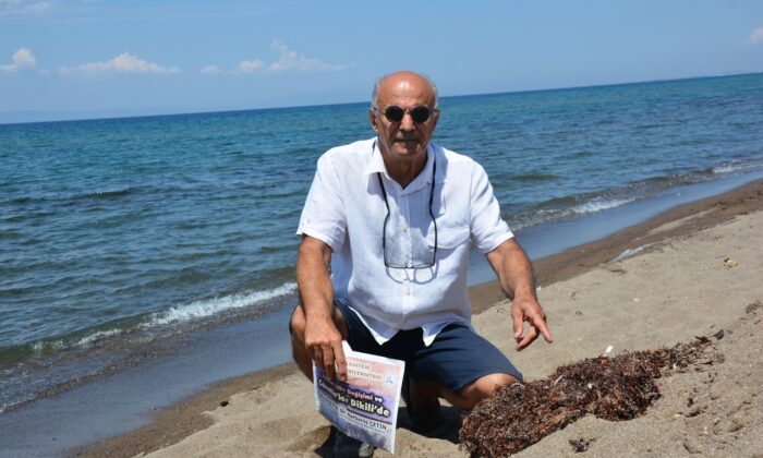 Marmara’da deniz salyası, İzmir’de Sargassum tehdidi
