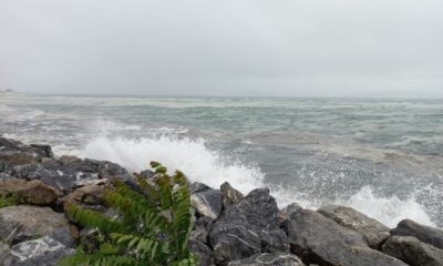 Marmara’da lodos, müsilajı kıyıya itti