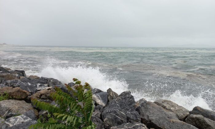 Marmara’da lodos, müsilajı kıyıya itti