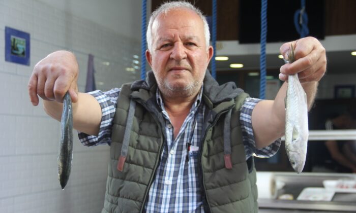 Marmara’daki müsilajdan kaçan çinekop Sinop’ta tutuldu