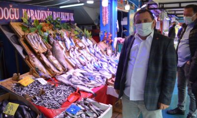 Marmara’daki müsilajı Anadolu’daki balıkçıları da etkiledi