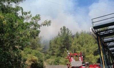 Marmaris’te orman yangını