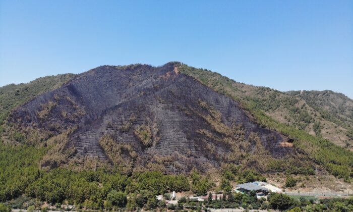 Marmaris’te yanan ormanlık alan havadan görüntülendi