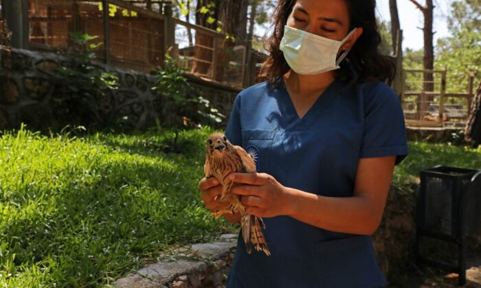 Mart ayından bu yana 120 hayvanın tedavisi yapıldı