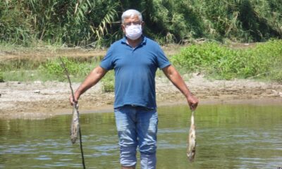 Menderes’teki balık ölümleri endişelendirdi