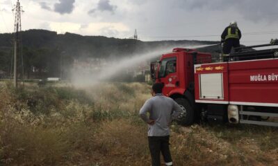 Menteşe’de yıldırım yangını