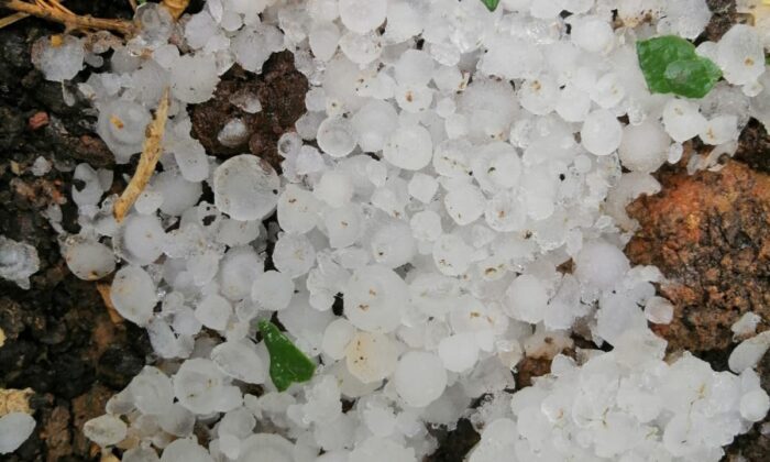 Mersin’de dolu yağışı sebze ve meyveyi vurdu