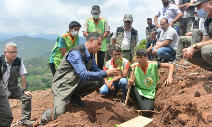 Mersin’de endüstriyel ağaçlandırma çalışmaları arazi eğitimi yapıldı